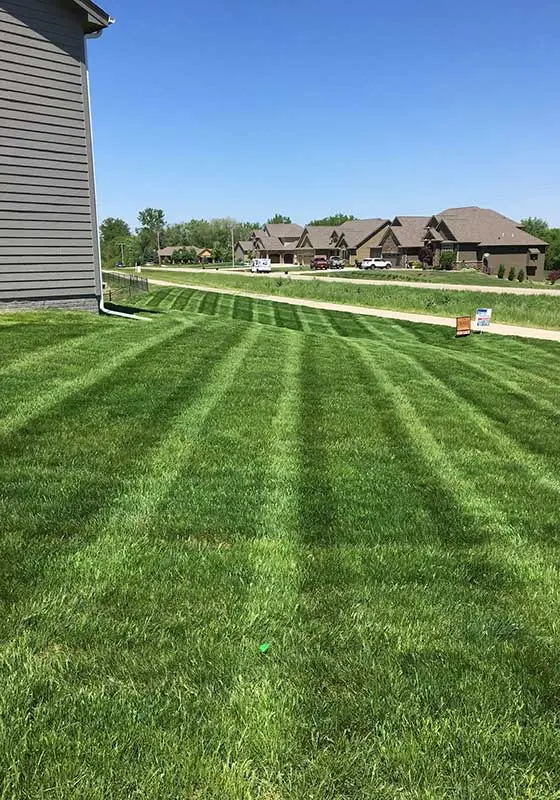 Beautiful, green lawn grass at a home in Urbandale, IA.